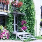 Franko salonas Franko salonas